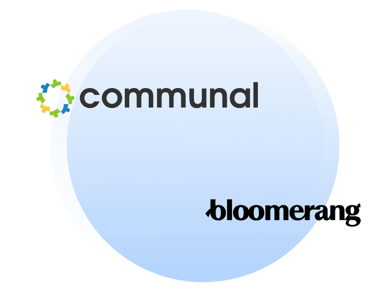 Bloomerang Alternative