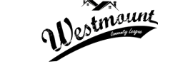 Customer logo